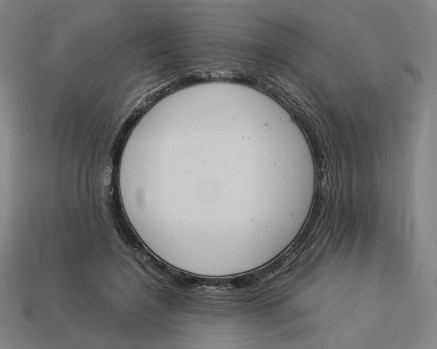 X0000113350548200910061021