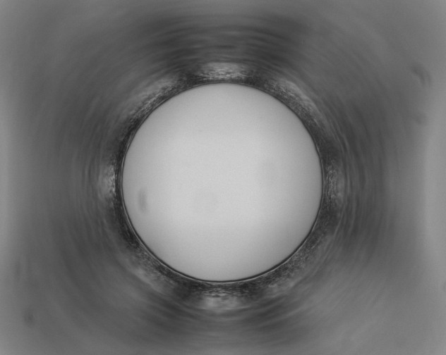 X0000113350549200910061021