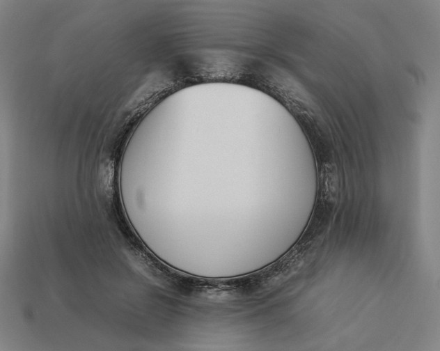 X0000113350550200910061021