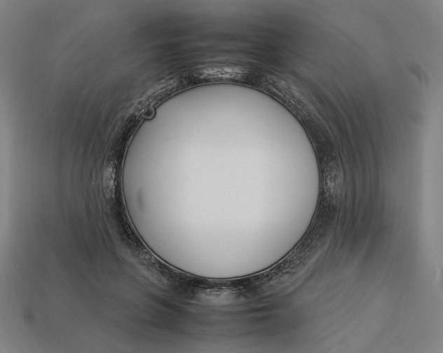 X0000113350551200910061021