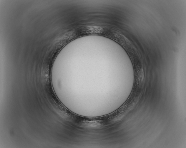 X0000113350553200910061021