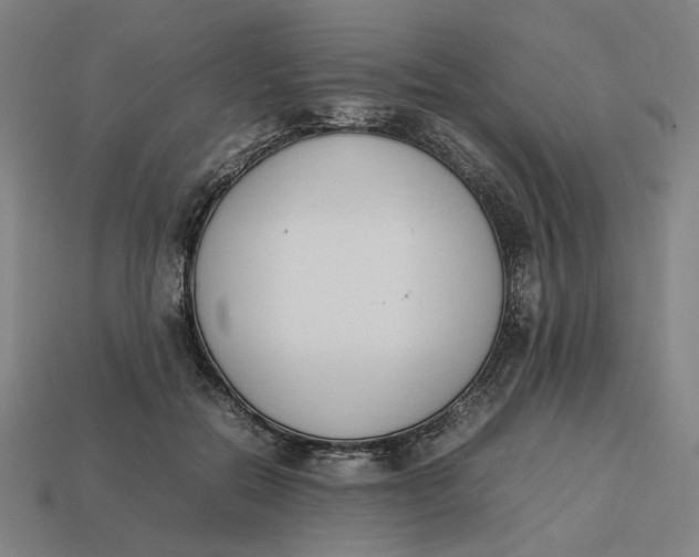 X0000113350554200910061021