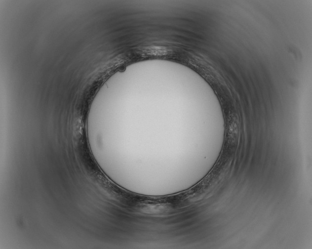 X0000113350555200910061021