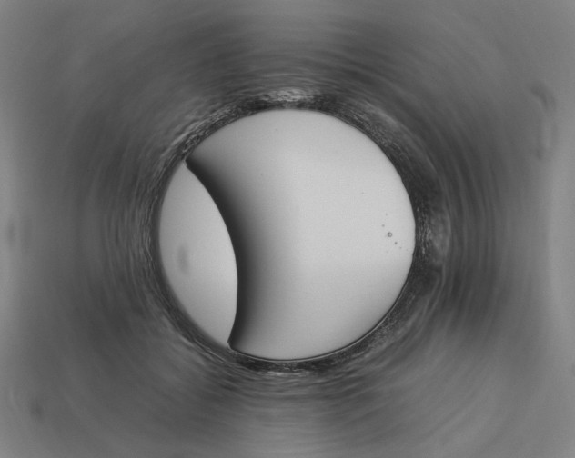 X0000113350556200910061021