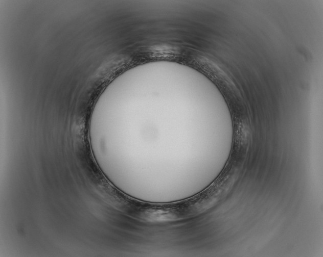 X0000113350557200910061021