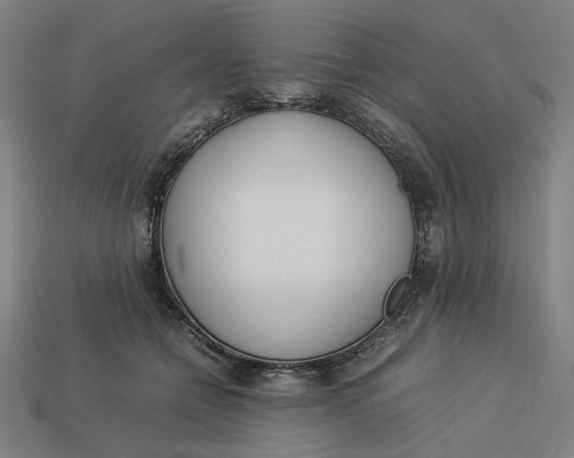 X0000113350558200910061021