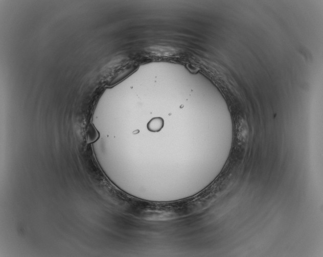 X0000113350559200910061021