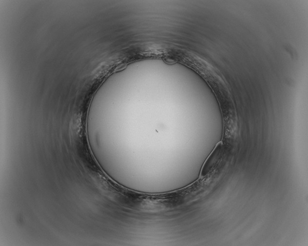 X0000113350560200910061021