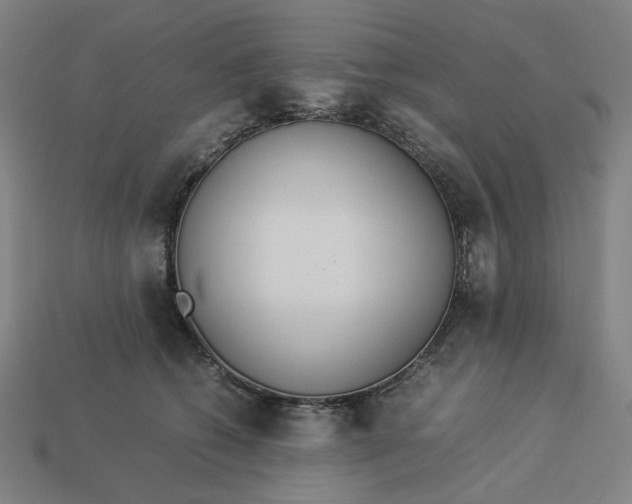 X0000113350562200910061021