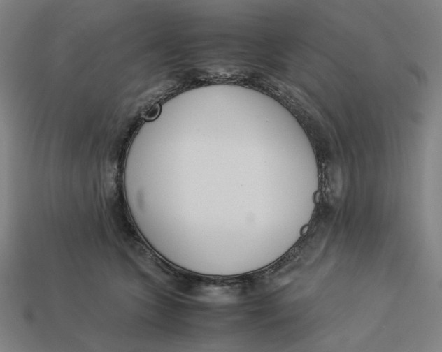 X0000113350563200910061021