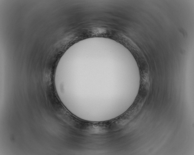 X0000113350565200910061021