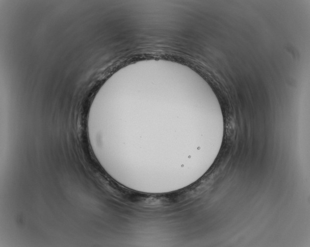 X0000113350566200910061021