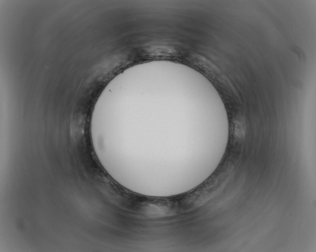 X0000113350567200910061021