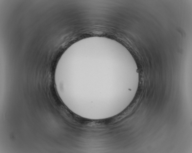 X0000113350568200910061021