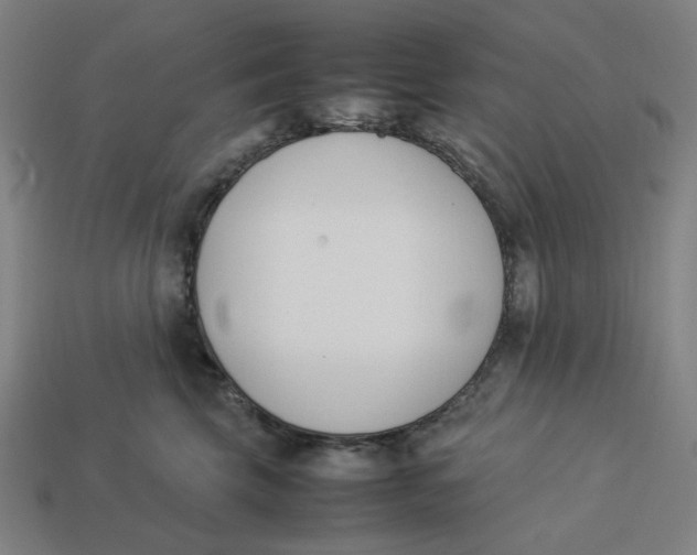 X0000113350569200910061021