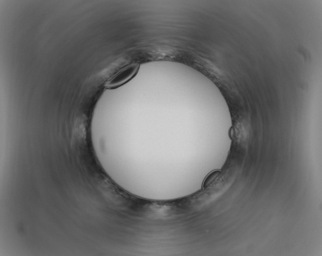 X0000113350570200910061021