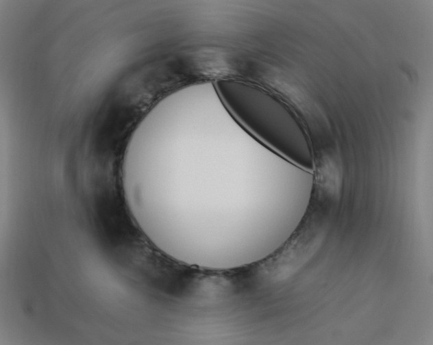 X0000113350572200910061021