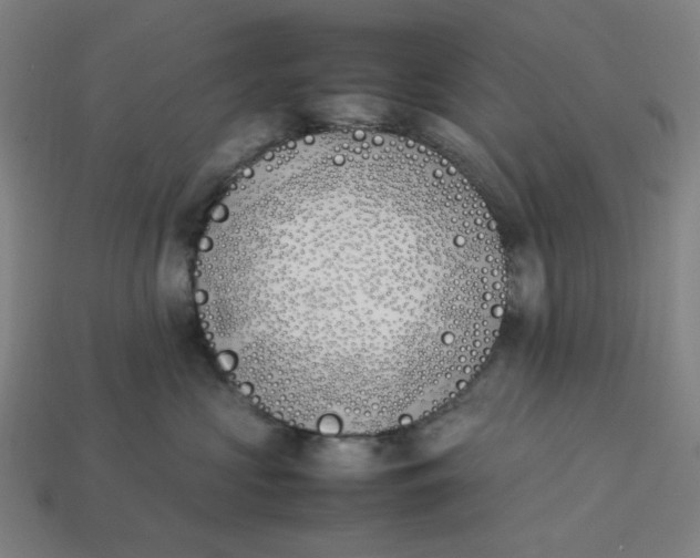 X0000113350573200910061021