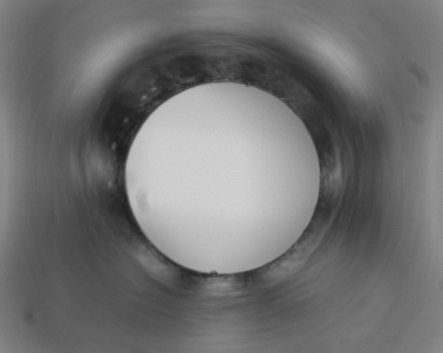 X0000113350574200910061021