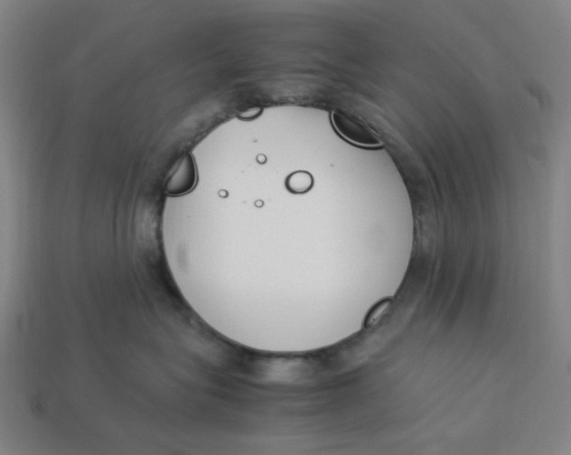 X0000113350575200910061021