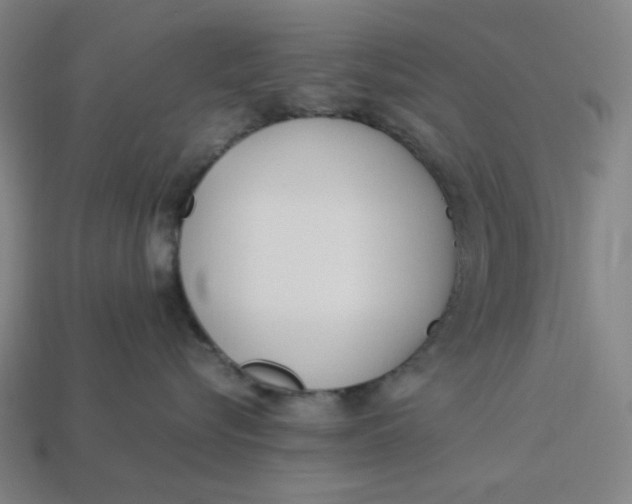 X0000113350576200910061021