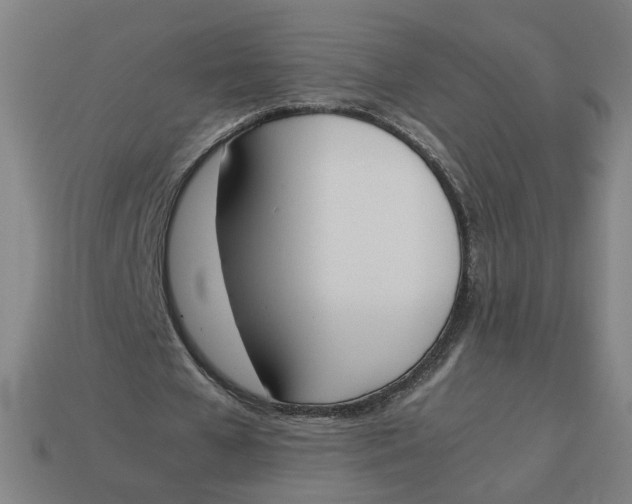 X0000113350577200910061020