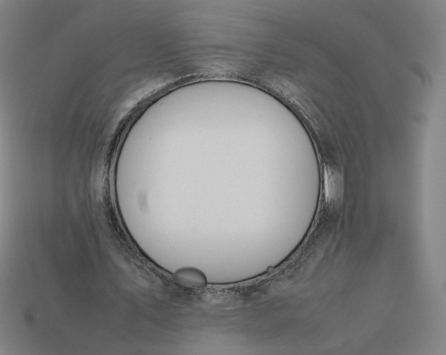 X0000113350579200910061020