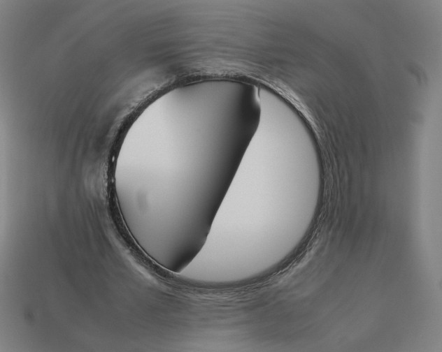 X0000113350581200910061020