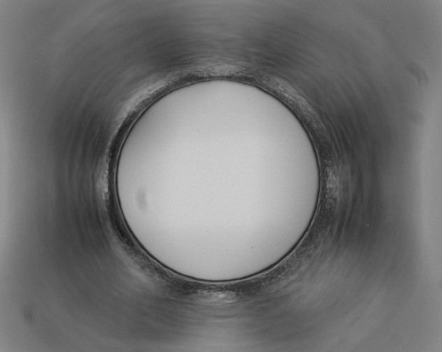 X0000113350582200910061020