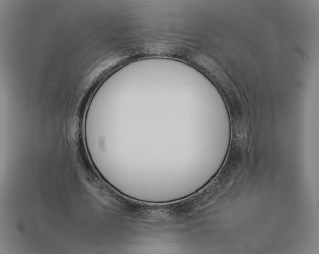 X0000113350583200910061020