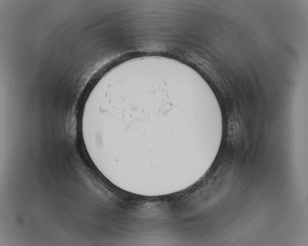 X0000113350584200910061020