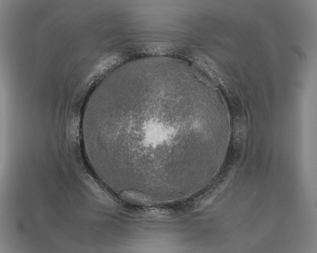 X0000113350585200910061020