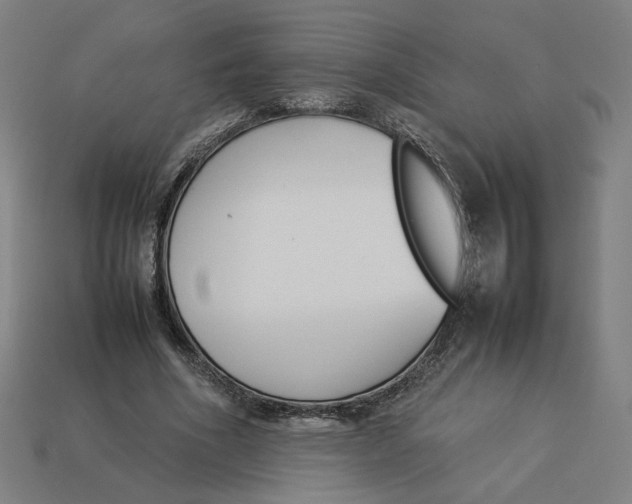 X0000113350586200910061020