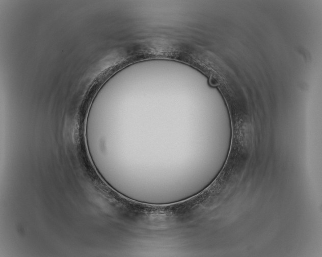 X0000113350587200910061020