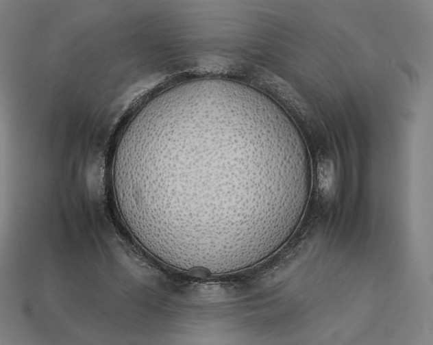 X0000113350588200910061020