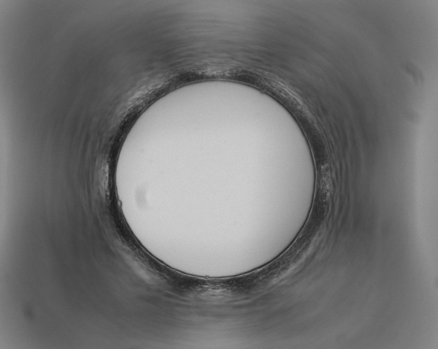 X0000113350589200910061020