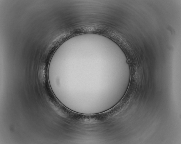 X0000113350590200910061020