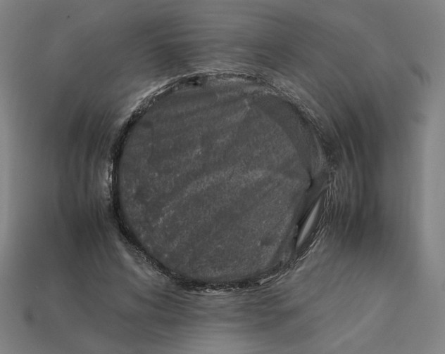 X0000113350592200910061020