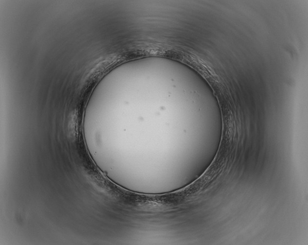 X0000113350594200910061020