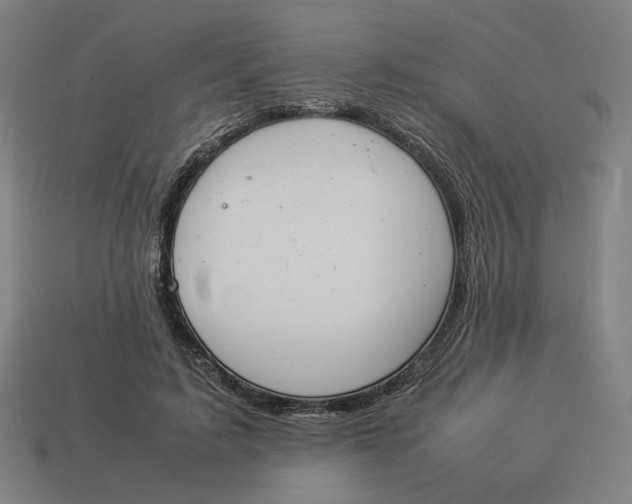 X0000113350595200910061020