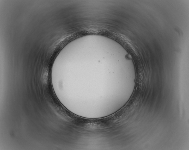 X0000113350596200910061020