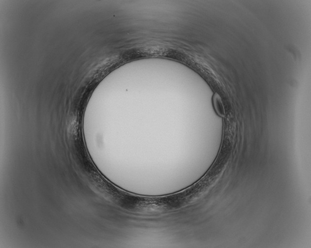 X0000113350597200910061020