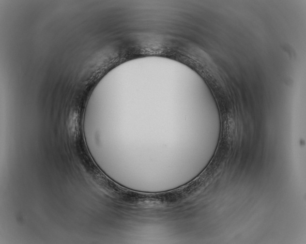 X0000113350598200910061020