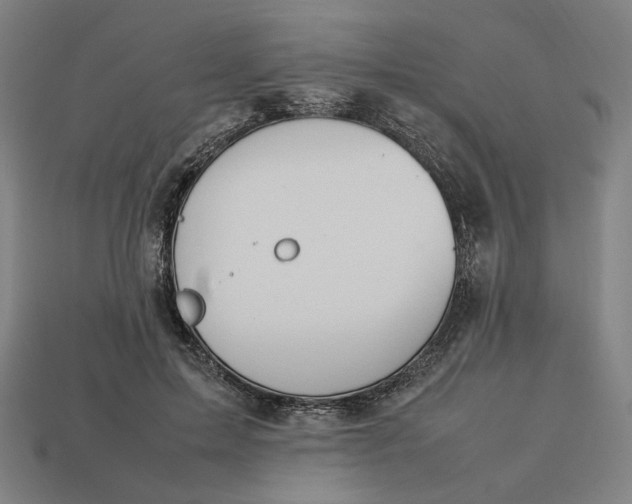 X0000113350599200910061020