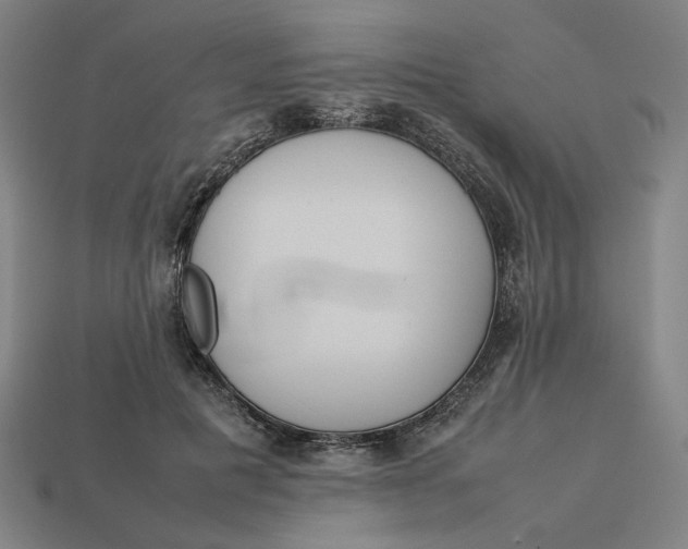 X0000113350601200910061020