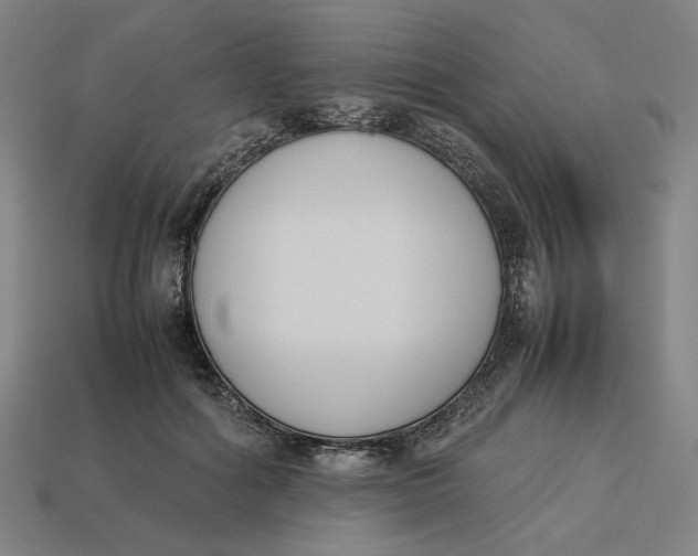 X0000113350602200910061020