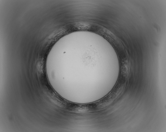 X0000113350604200910061020