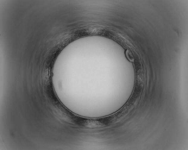 X0000113350605200910061020