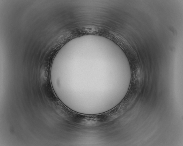 X0000113350606200910061020