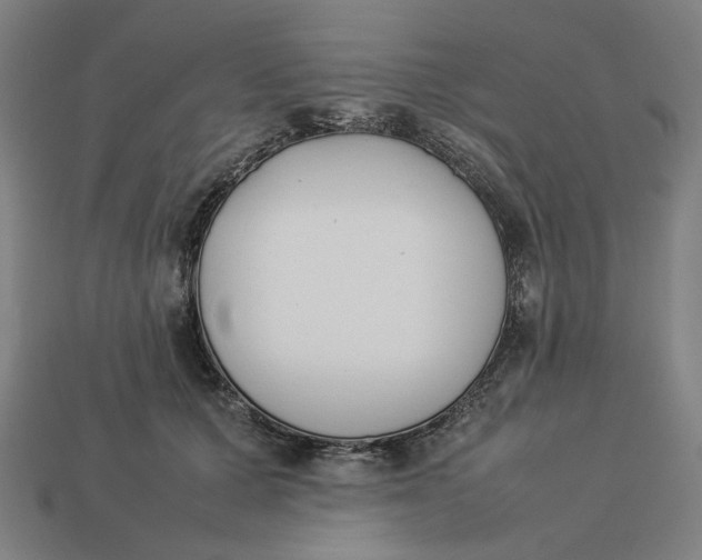 X0000113350607200910061020